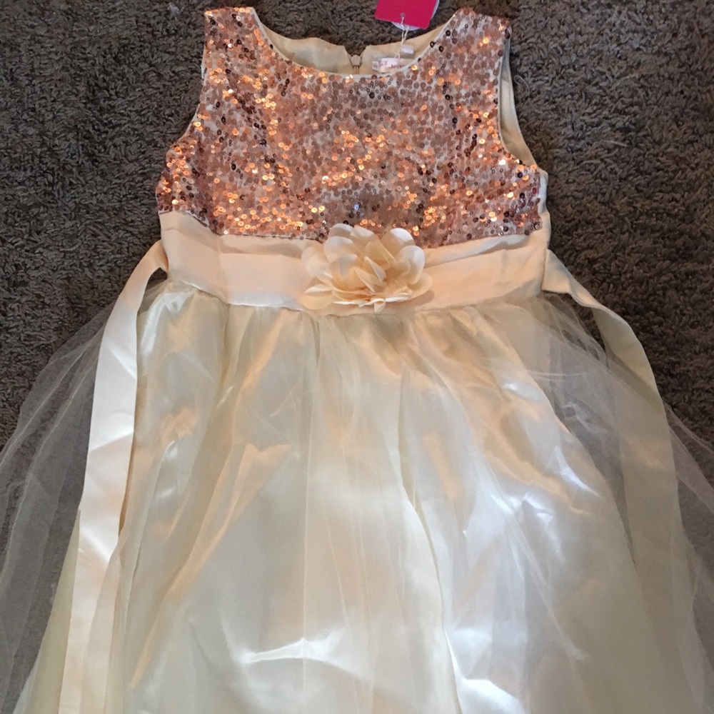 Rose gold brand new with tags dress.